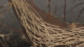 frame 10 link