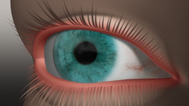 fram_08