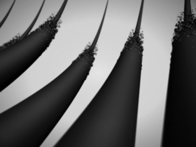 fram_03