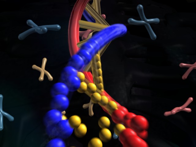 fram_05