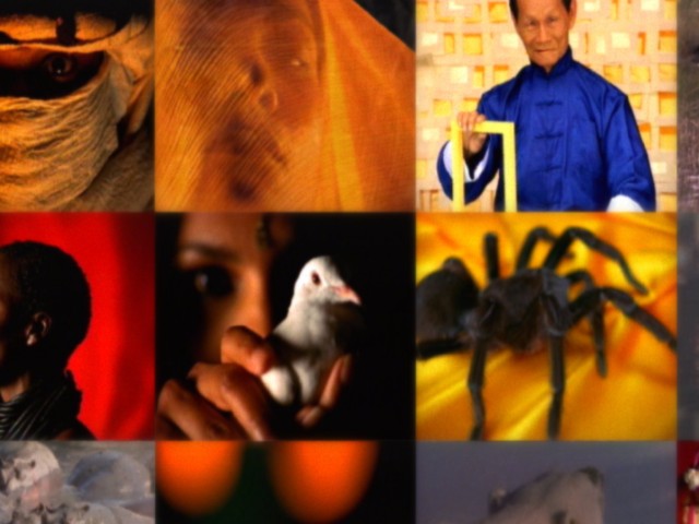 fram_20