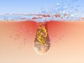 frame 03 link