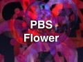PBSFlower