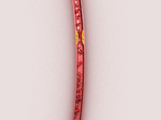 fram_07